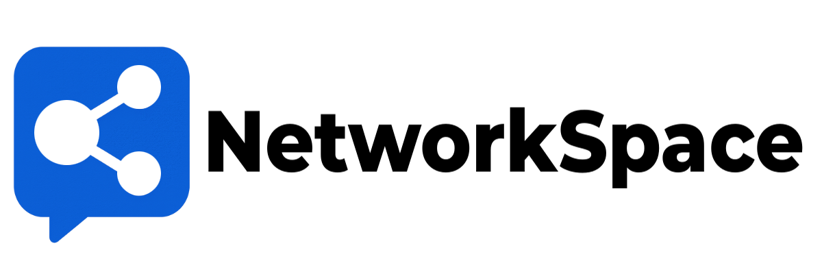 NetworkSpace Logo